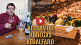 Degustación de Cavas Valencianos de Bodegas Vegalfaro